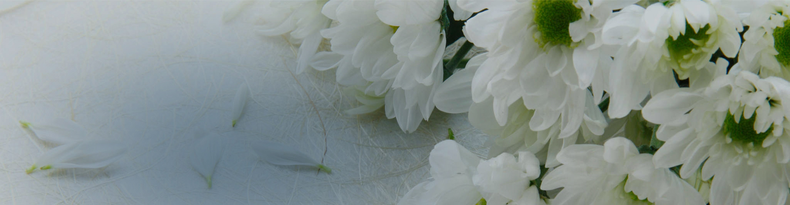 | Cremation & Burial Services | Traditional, Green & Natural Funerals in Newton NJ
